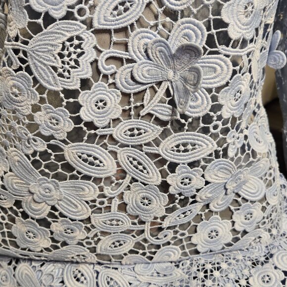 See through Lace Beautiful Dress Size 12 - Picture 4 of 6